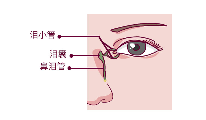 圖片關鍵詞
